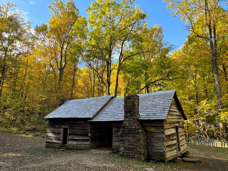 Historic Log Cabins That Survived More Than A Century