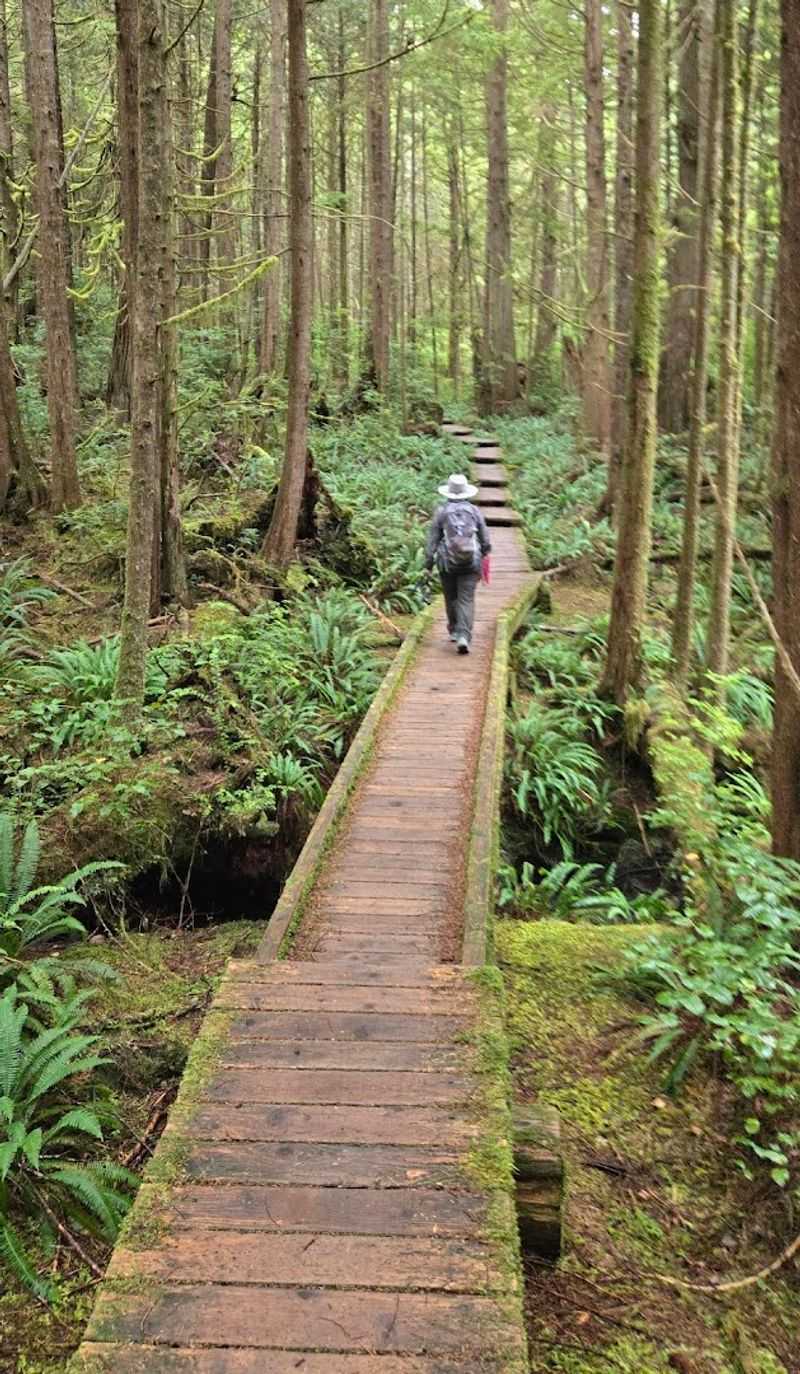 Trail Difficulty And Who Will Enjoy It Most