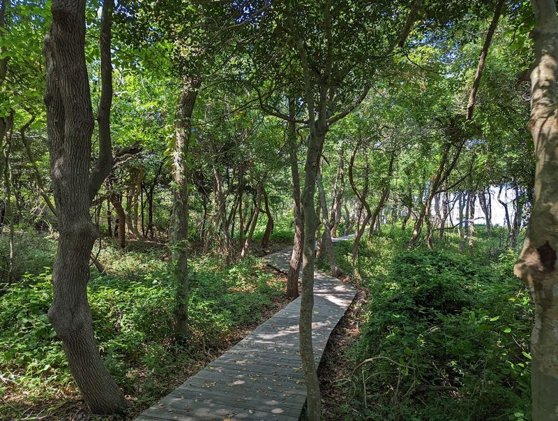 Why The Sunken Forest Deserves A Spot On Your List