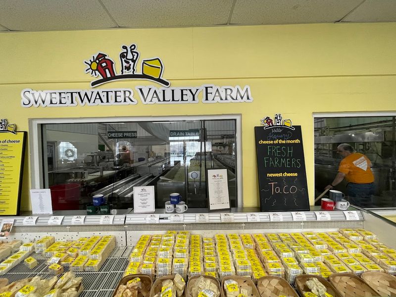 What Real Visitors Say About The Sweetwater Experience