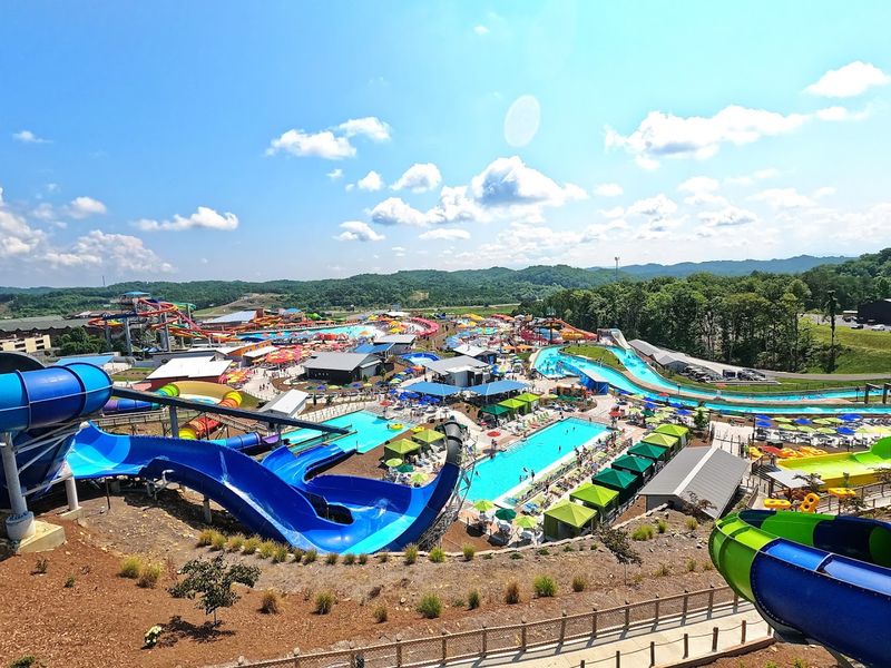 Dining Options That Go Well Beyond Standard Waterpark Fare