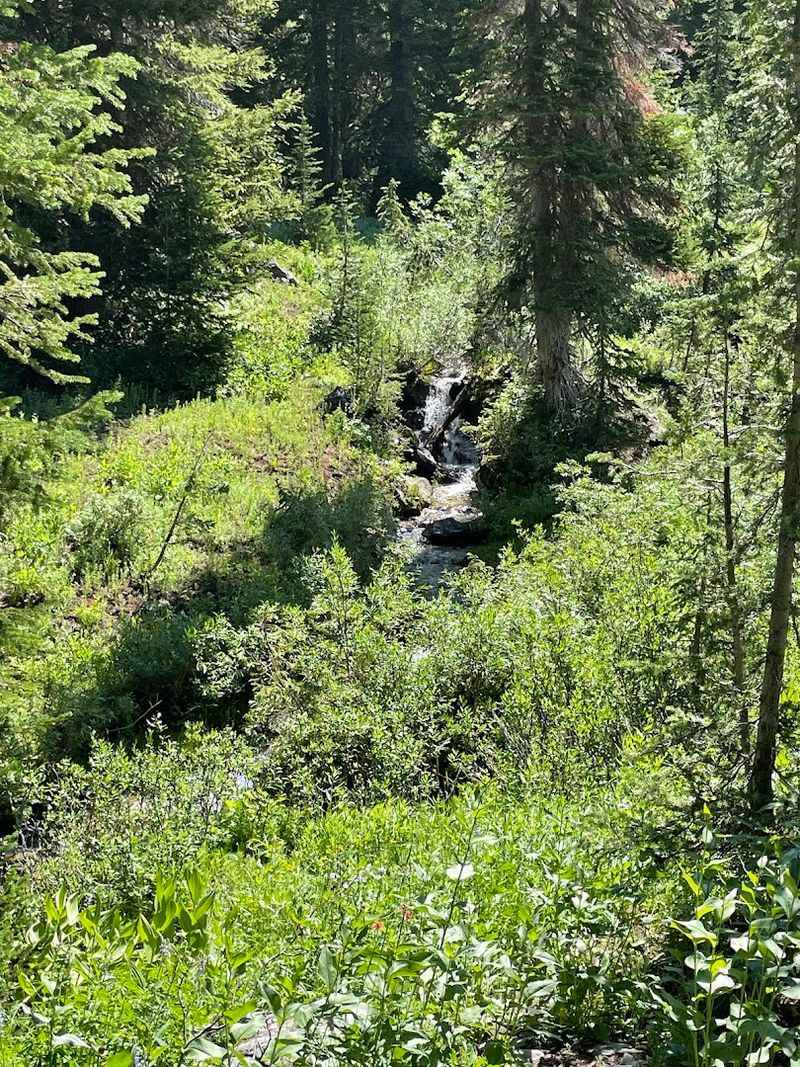 Benefits Of Spending Time Outdoors Near Water