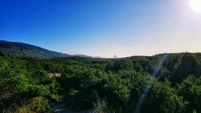 Photographic Perspectives Of Pacific Horizons