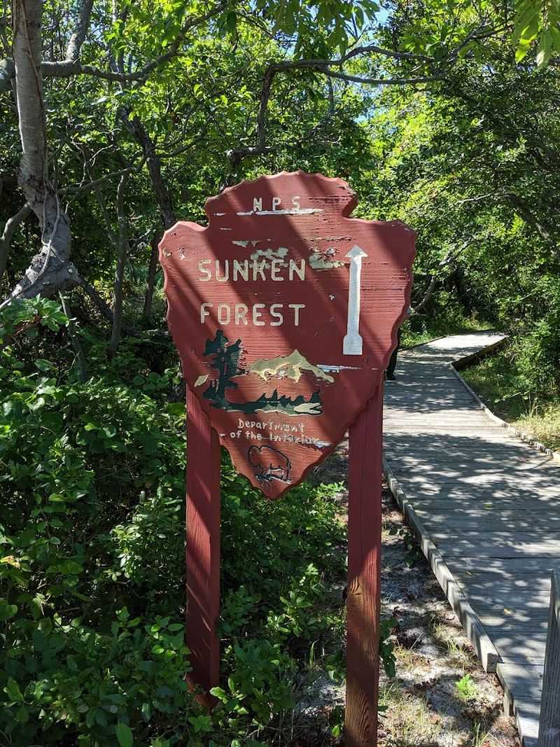 Practical Tips For Planning Your Visit