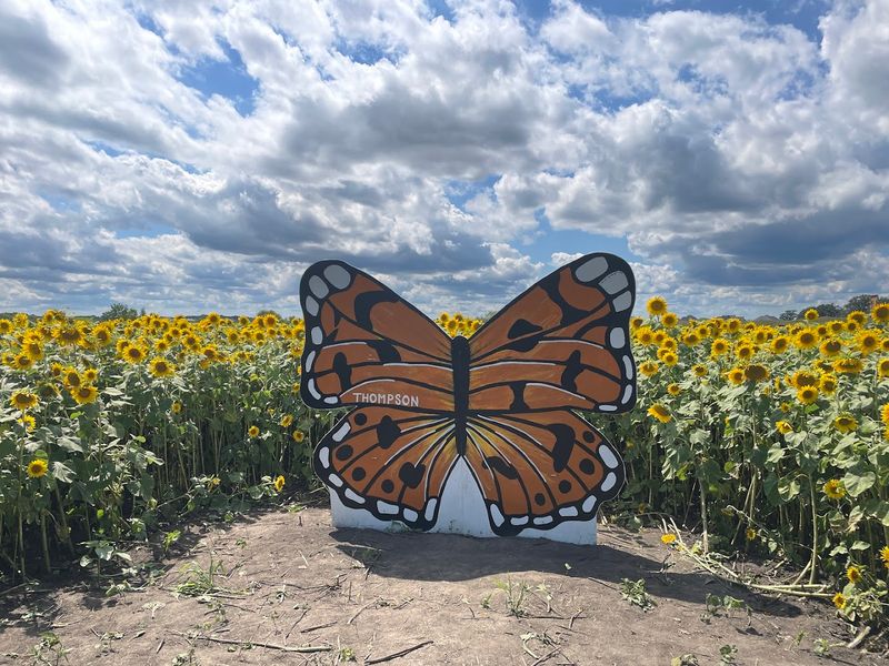 The Adventure Farm Adds More For Families To Enjoy