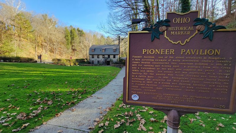 Conservation Efforts And Preservation Challenges