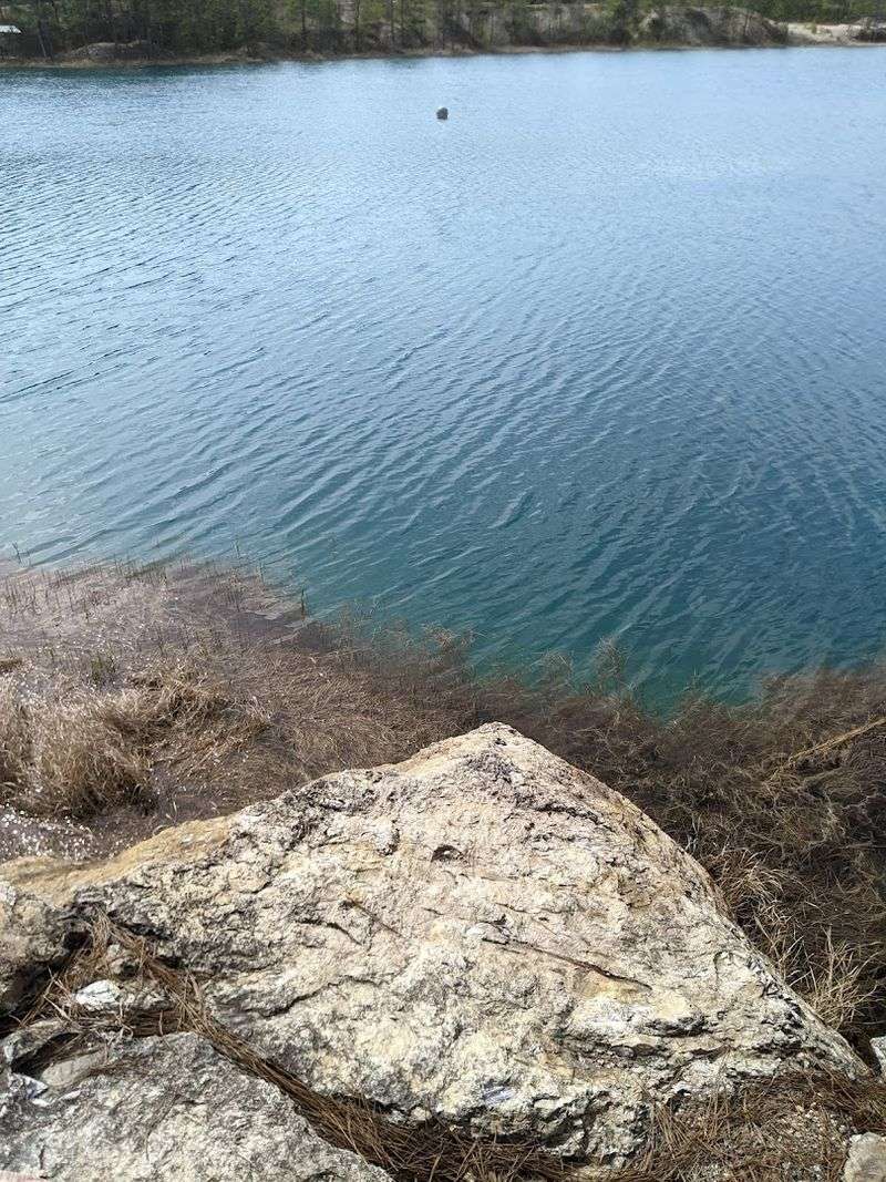 Environmental Importance Of Preserving Natural Lagoons