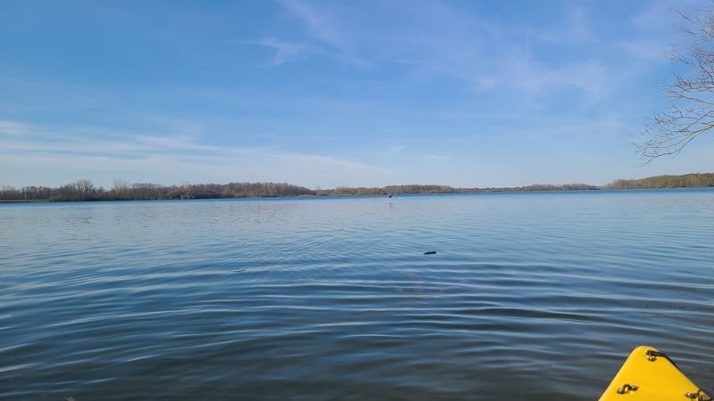 Seasonal Changes And Their Impact