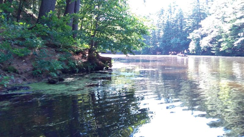 Conservation Efforts Maintaining Lake Serenity