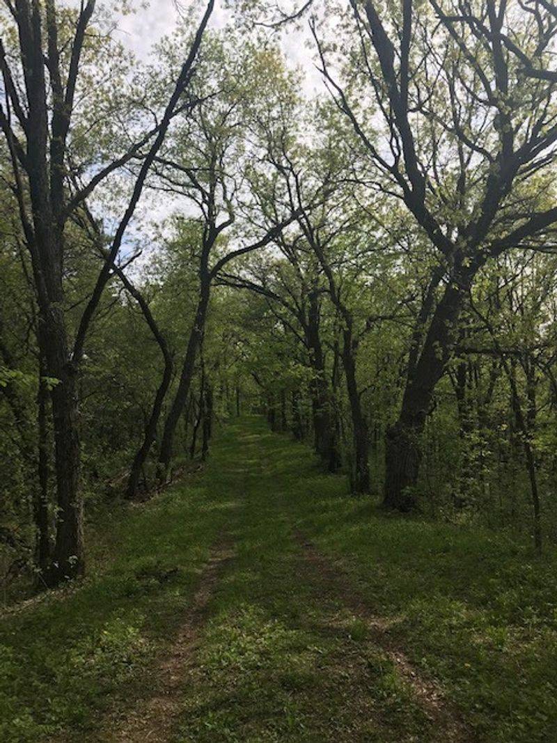 Kettle Moraine State Forest – Southern Unit (Near Eagle)
