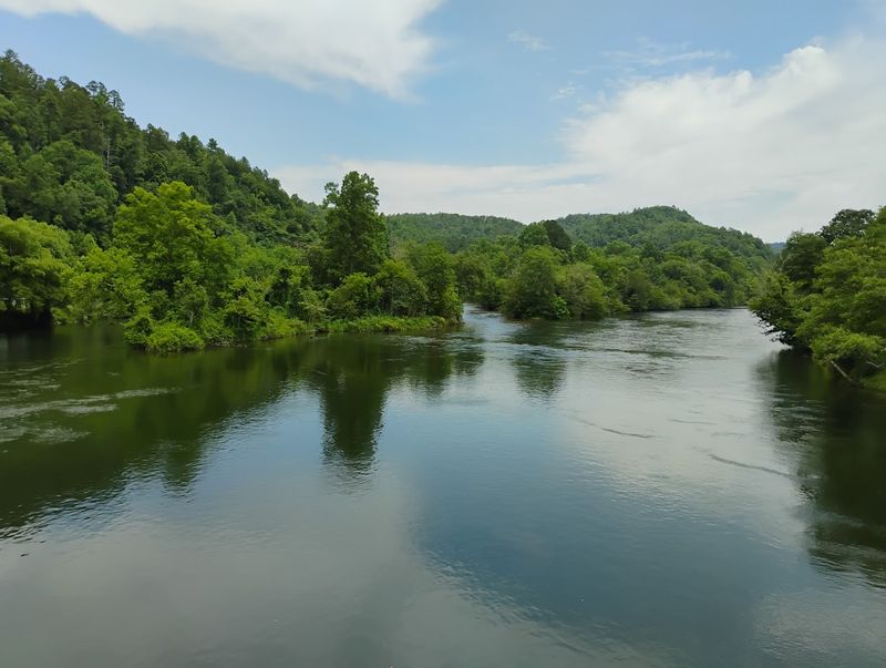 Cherokee National Forest