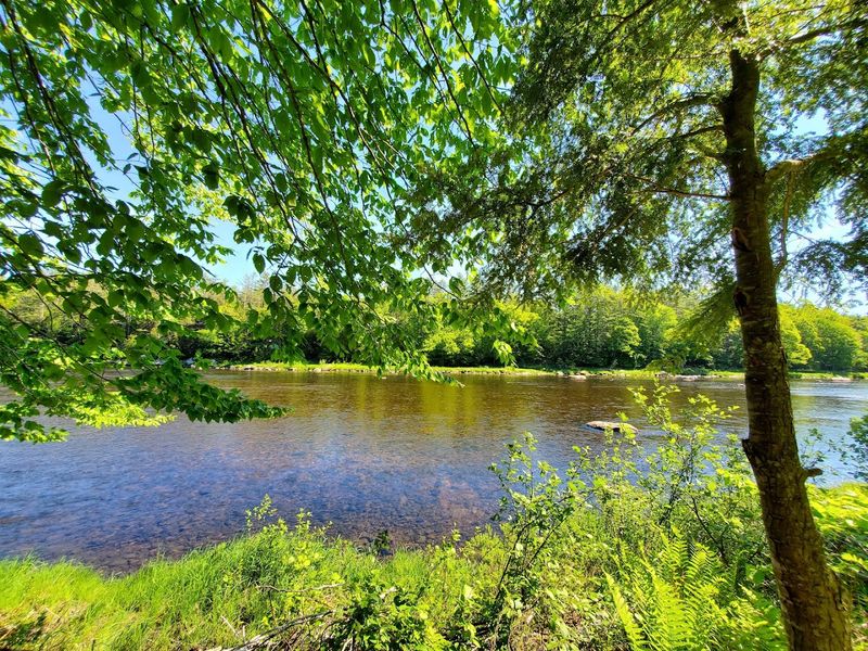 The South River Run - Forest, River, And Open Sky