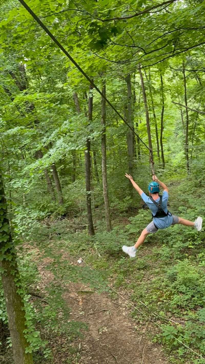 Zipline Through the Forest Canopy Just Outside Nashville At Adventureworks