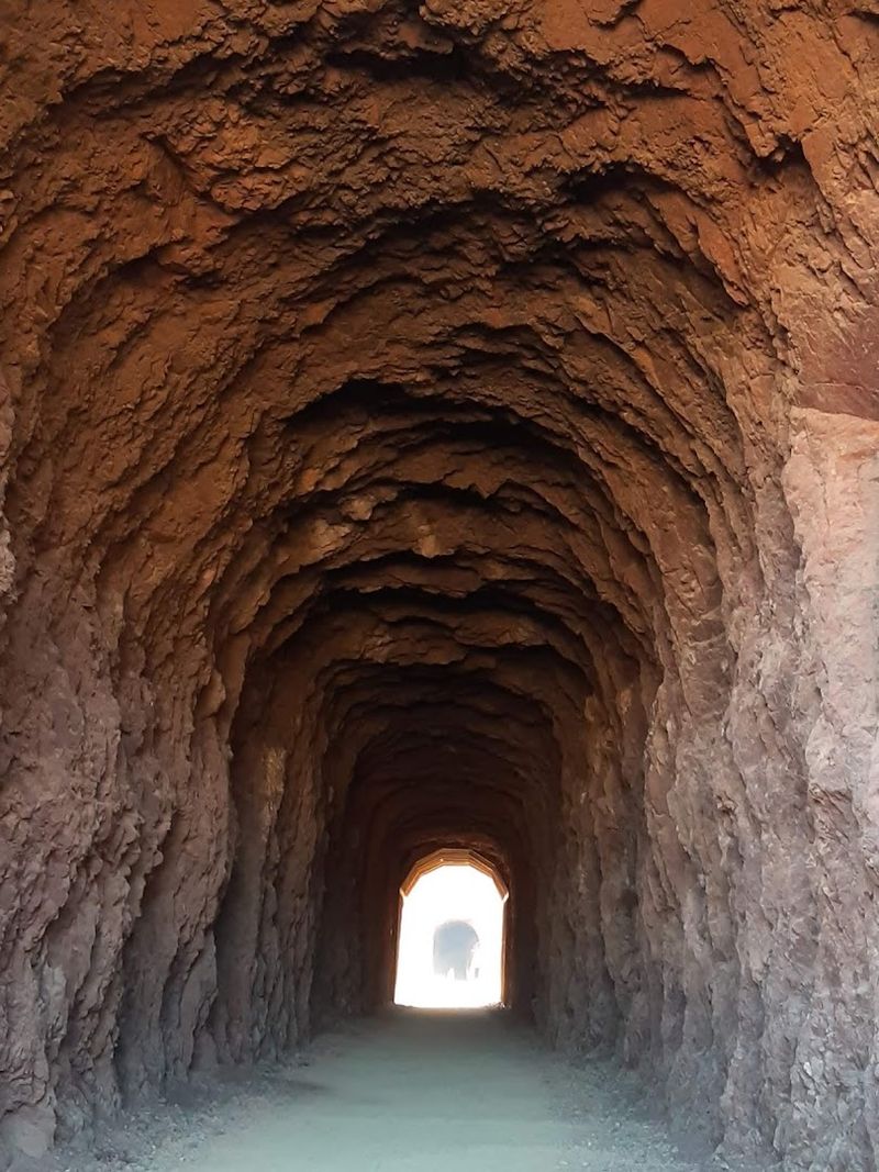 The Loop Links To Other Nevada Trails