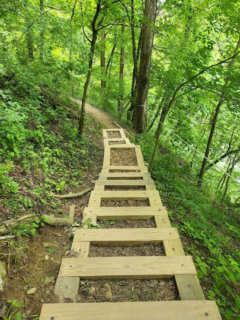 Gossett Tract Trails And The Beauty Of Wildflower Season