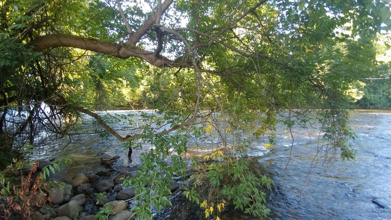 The Watauga Lake Shoreline And Its Quiet Mountain Water Recreation