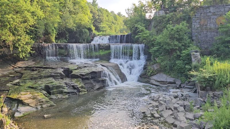Seneca Mill And Falls