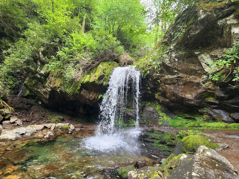 Grotto Falls Rewards Anyone Willing To Walk 1.3 Miles