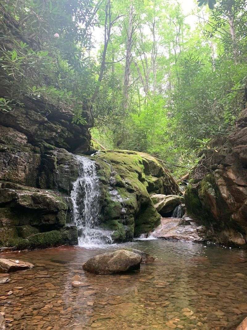 Leave No Trace And Respecting The Environment
