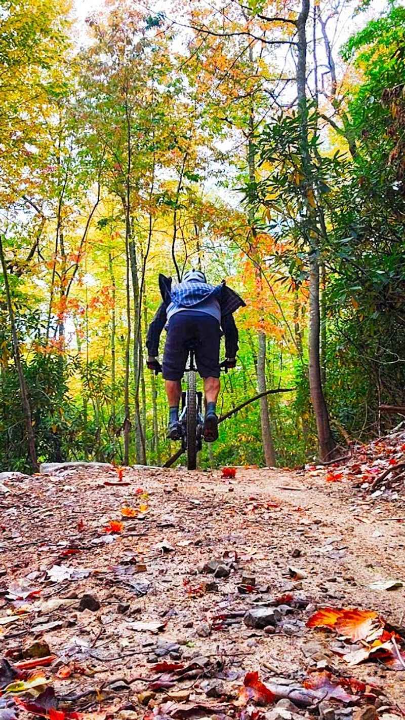 The Unaka Bike Park And Mountain Biking Scene