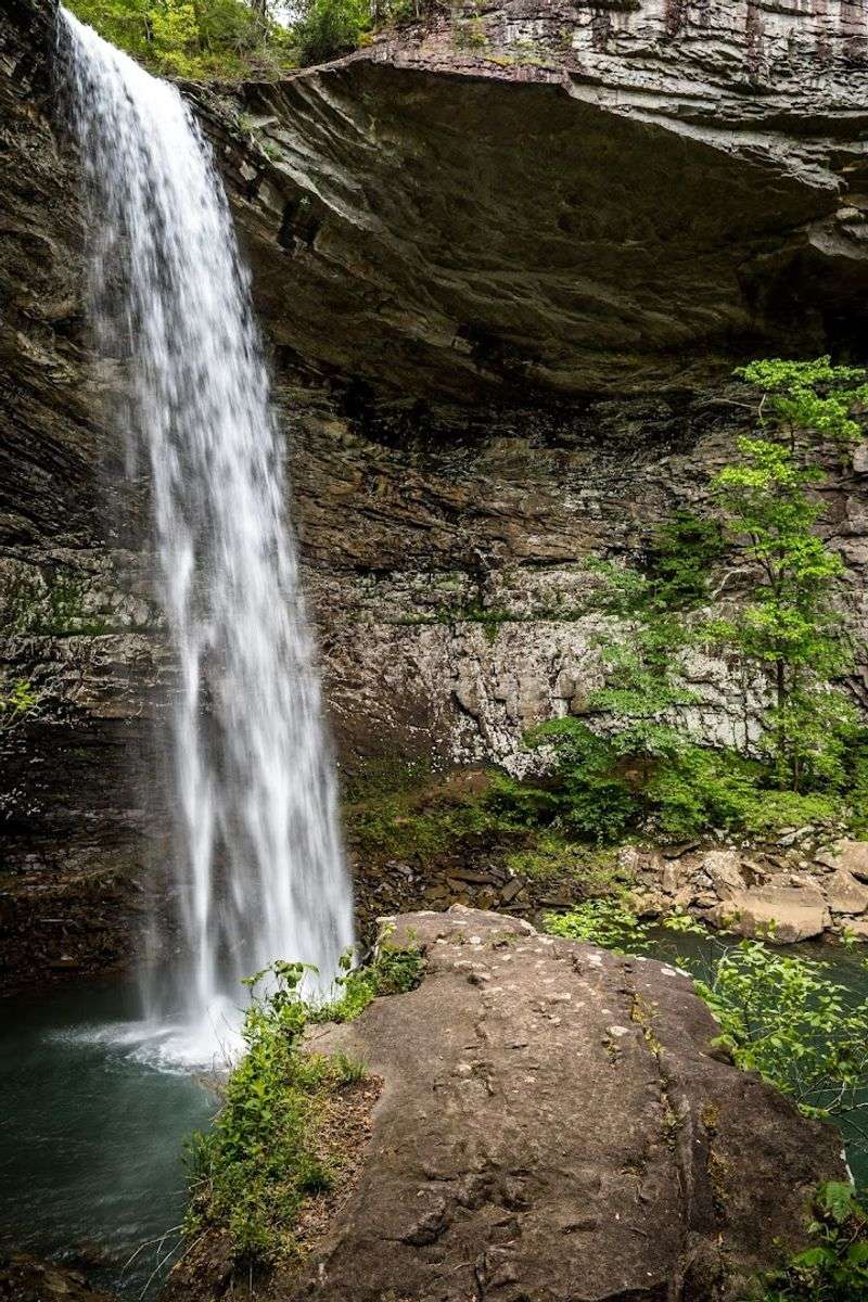 Ozone Falls State Natural Area, Ozone
