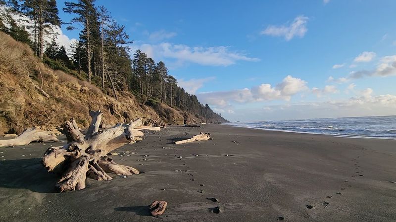Kalaloch Beach
