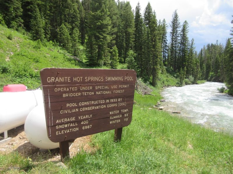 Local Plant Species Thriving In Warm Spring Ecosystems