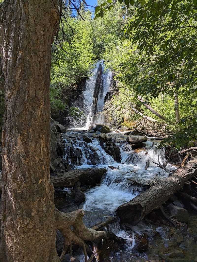 Hunter Creek Trail, Reno