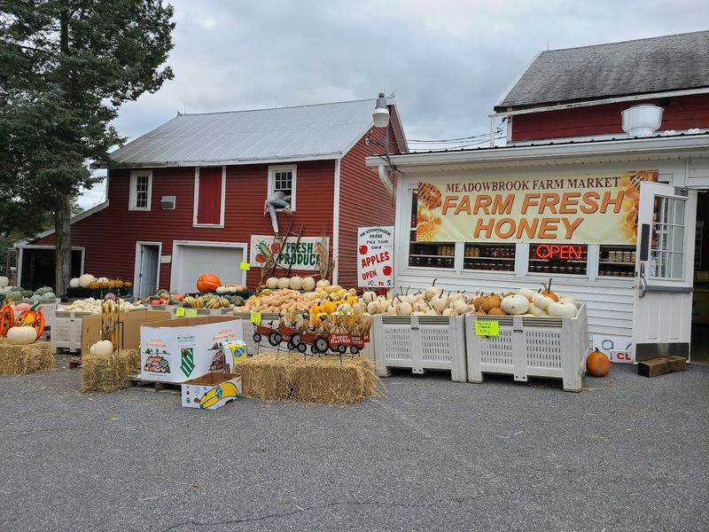 Meadowbrook Farm