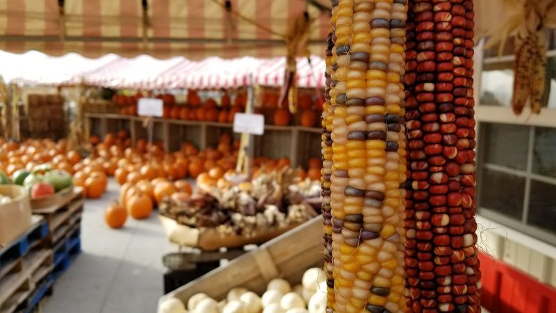 Seasonal Highlights That Bring Visitors Back Year-Round
