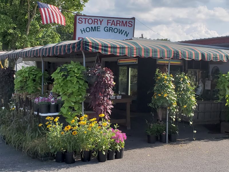 Story Farms
