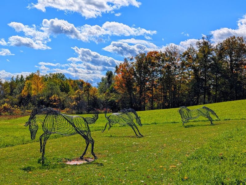 Stone Quarry Hill Art Park — Cazenovia