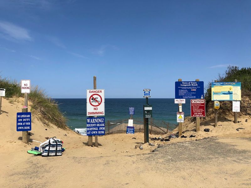 Parking Realities And The Best Times To Visit
