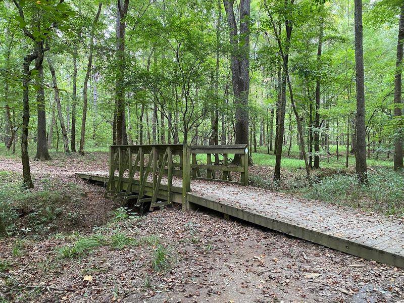Conservation Efforts And Sustainability Practices
