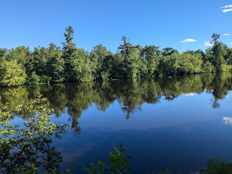 Photography Opportunities In Natural Settings