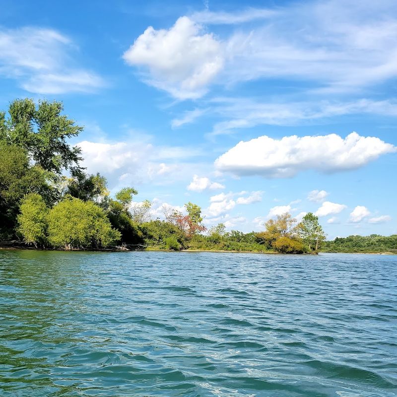 Conservation Efforts For Natural Preservation