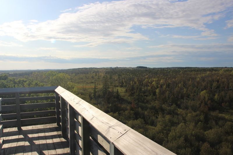 Guided Tours Highlighting Ecological Significance