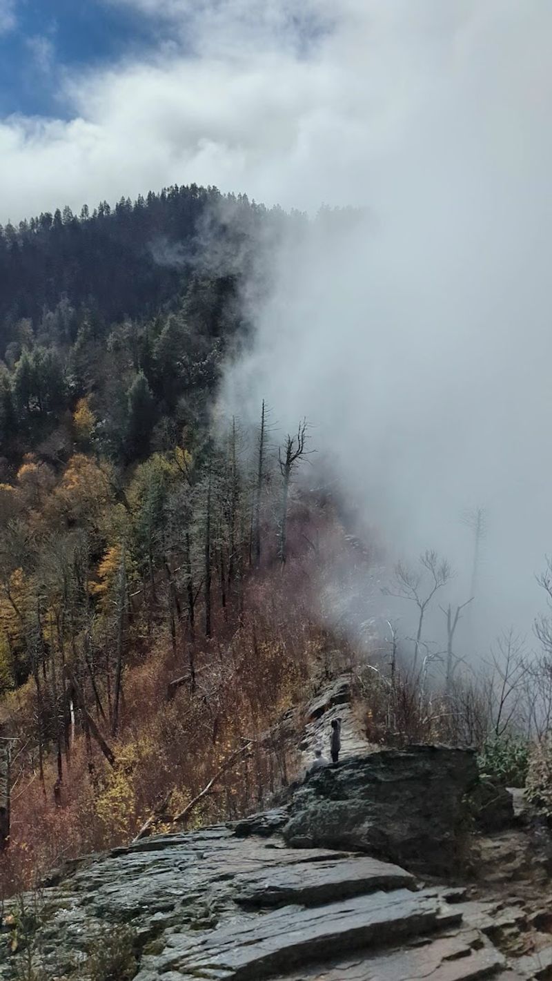 Safety Considerations That Every Hiker Should Know Before Going