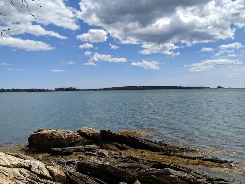 Photography Opportunities In Natural Settings