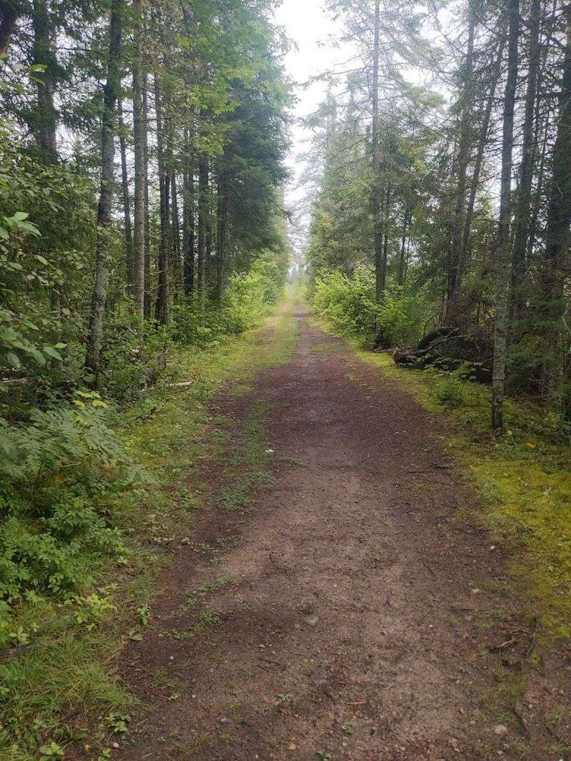 Best Trails For Peaceful Nature Walks