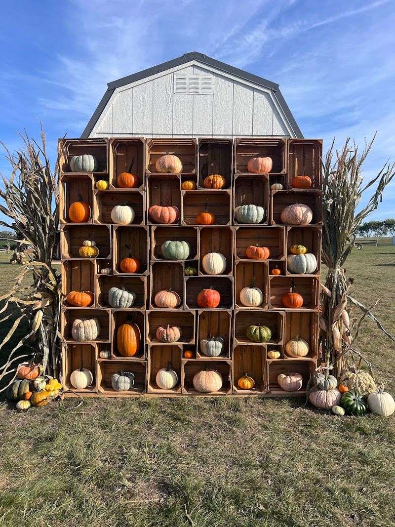 Raspberries, Pumpkins, And Fall Fun Extend The Farm Season