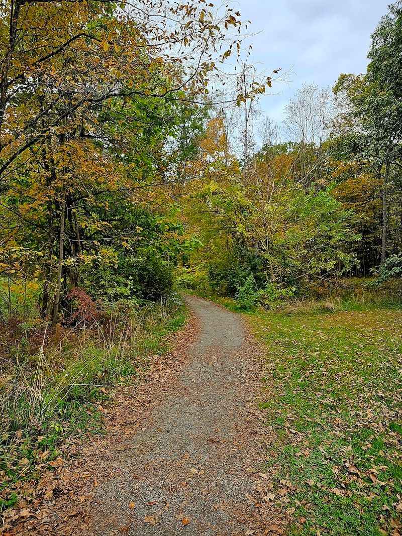 What To Bring And How To Prepare For The Walk