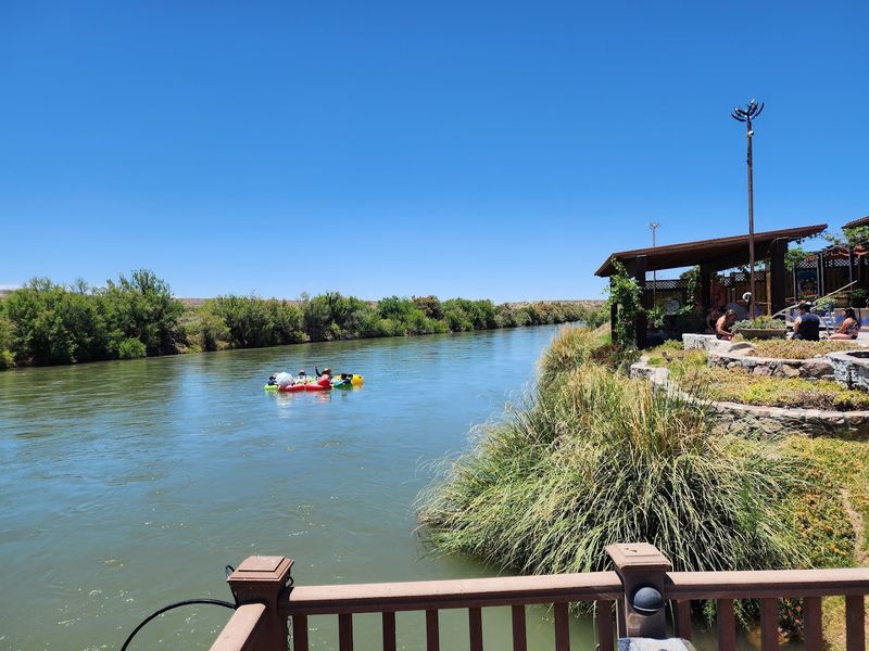 Local Flora And Fauna In Desert Surroundings