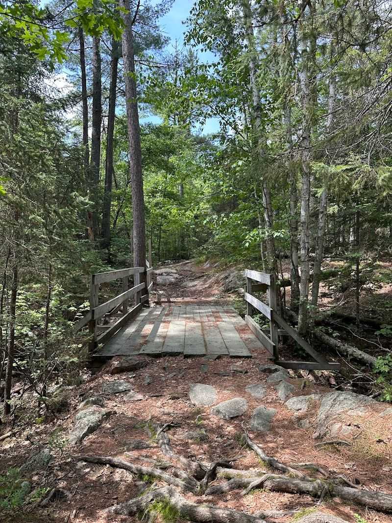 Seasonal Activities And Nature Walks