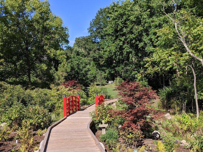 A Free And Accessible Community Treasure With A 4.8-Star Rating