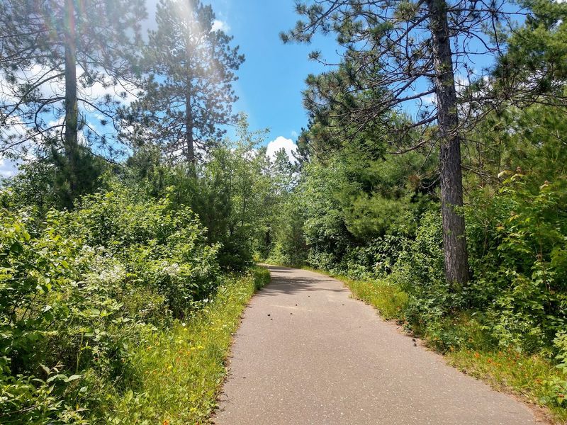 No Trail Pass Is Required For The Heart Of Vilas Trail