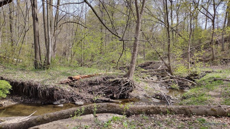 Creeks And Ravines Add Quiet Natural Beauty