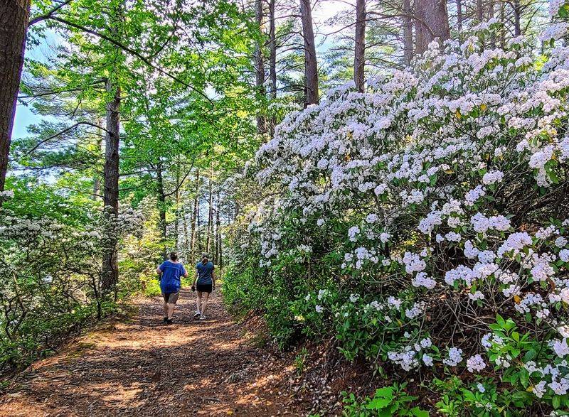 Maudslay State Park, Newburyport