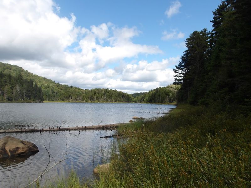 Pigeon Lake Wilderness