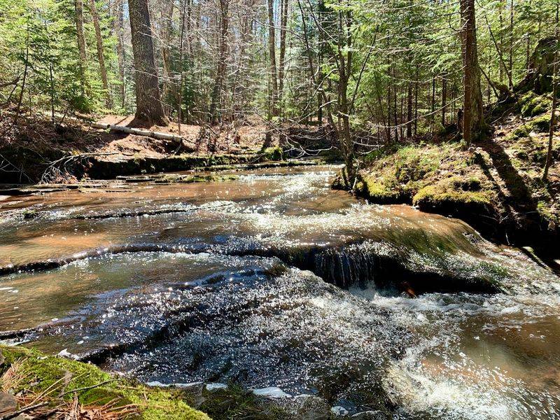 A Short Downstream Cascade Gives Visitors Another Pretty View